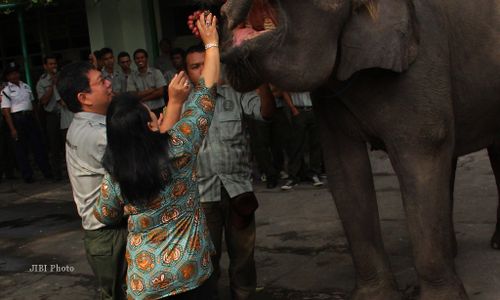 Gembira Loka Berusia 61 Tahun, Bagaimana Perkembangannya?