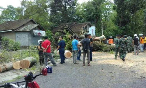 ANGIN KENCANG KLATEN : Tertimpa Pohon Beringin, Warga Klaten Tewas Seketika