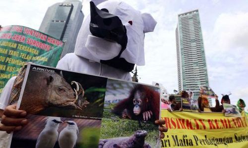 FOTO PEDULI KEBUN BINATANG SURABAYA : Komunitas Peduli KBS Tolak Jual Beli Satwa