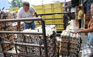 FOTO TELUR AYAM : Harga Telur Ayam Naik Jelang Tahun Baru