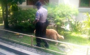 HARI NATAL 2014 : Gereja di Klaten Dijaga Polisi, Disisir Anjing Pelacak