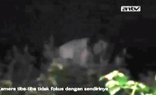 KISAH MISTERI : Ini Penampakan Kuntilanak Terlama?