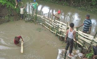 Klaten Hari Ini: 16 Desember 2014, Tanggul Jebol, 54 Ha Sawah Terendam