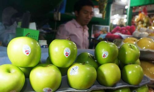 FOTO APEL BERBAKTERI : Masih Ada Granny Smith di Pasar Gede