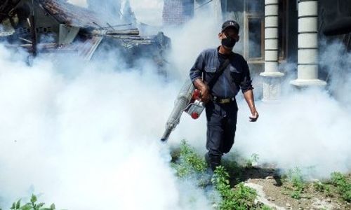 PEMBERANTASAN NYAMUK : Inilah Bahaya di Balik Fogging...