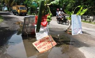 FOTO JALAN RUSAK BANTUL : Wah, Jalan Kampung Pijenan Ditanami!