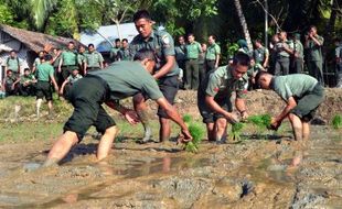 KETAHANAN PANGAN BOYOLALI : Target Produksi Beras di Boyolali Menurun Pada 2016