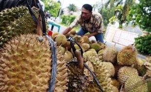 PENIPUAN KULONPROGO : Beli Durian Online, Warga Kulonprogo Tertipu Jutaan Rupiah