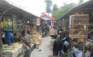 PASAR TRADISIONAL SUKOHARJO : Keberatan Sewa Los Rp864.000, Pedagang Pasar Gawok Siap Angkat Kaki