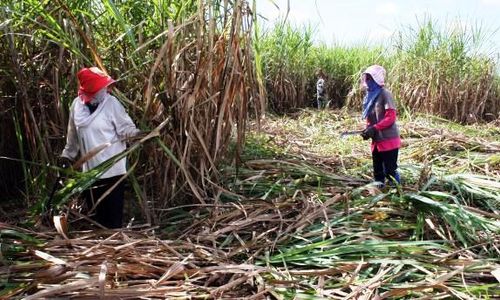 BUMN JATIM Siap Berburu Sumber Dana Baru