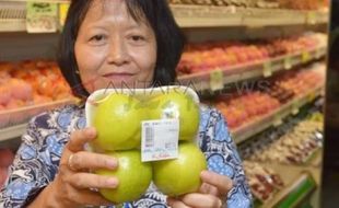 Apel Royal Gala dan Granny Smith Negatif Bakteri