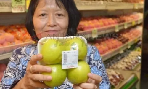 Apel Royal Gala dan Granny Smith Negatif Bakteri