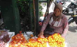 Jeruk Santang Madu Mulai Dibudidayakan di Indonesia