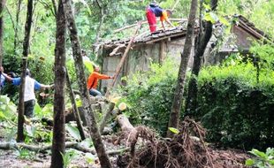 MUSIM HUJAN : Sebuah Rumah Rusak Tertimpa Pohon Jati