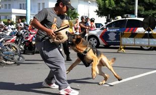 FOTO UNIT SATWA : K9 Polres Kediri Simulasikan Aksi