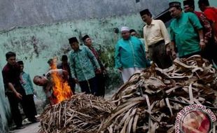 ALQURAN RAKSASA : Terbukti Bukan dari Langit, Mushaf Raksasa Dibakar MUI