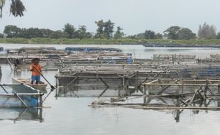 PENCURIAN SUKOHARJO : Antisipasi Maling Ikan, Petani Waduk Mulur Ronda