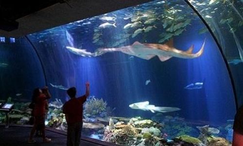 Jaya Ancol Resmi Berpisah dari Sea World