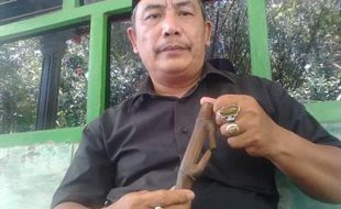 BARANG LANGKA : Wah, Bambu Ini Dipercaya Masyarakat Bisa Langgengkan Jabatan, Kok Bisa?