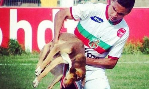 KISAH TRAGIS : Pemain Ini Digigit Anjing saat Bertanding Sepak Bola