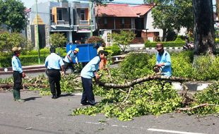 Mobil Menara Hanya Setinggi 12 Meter, Pohon yang Ditebang Setinggi 15 Meter