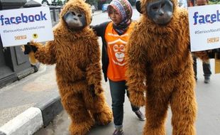 FOTO ANIMALS INDONESIA Beraksi di Balai Kota Malang