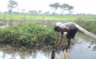 PENANGGULANGAN BENCANA : Warga Kecewa Normalisasi Kali Langsur Sukoharjo Belum Jelas