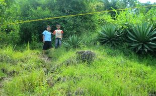 DEMAM BATU AKIK : Ladang Lavender Ditemukan di Bulu Sukoharjo