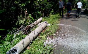 Angin Kencang di Kulonprogo, Belasan Rumah Tertimpa Pohon