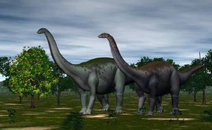 PENEMUAN BARU : Ilmuwan Kembalikan Nama Baik Brontosaurus