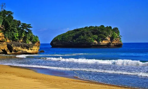 KONSERVASI ALAM : Mahasiswa Malang Tanami Pantai Selatan