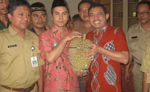 HASIL PERKEBUNAN : Wow, Durian Pogog Seberat 7,5 Kg Diserahkan ke Bupati Wonogiri