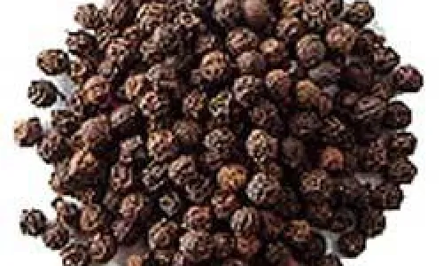 INFO HERBAL : Ini Sederet Manfaat Lada Hitam