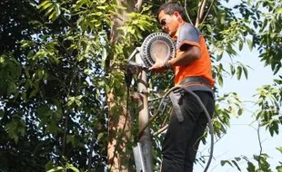 FOTO PUTRA JOKOWI NIKAH : Wah, Lapangan Sumber Diterangi Lampu...