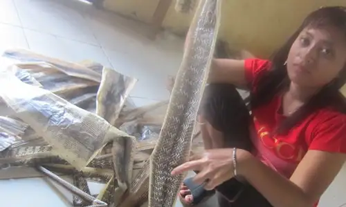 Bir shisha tiqilib qolgan porno tomosha qiling