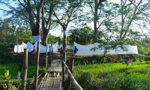 PERNIKAHAN PERI DENGAN MANUSIA : Pakai Uang Saweran, Peri Sukodok Membangun Rumah di Ngawi