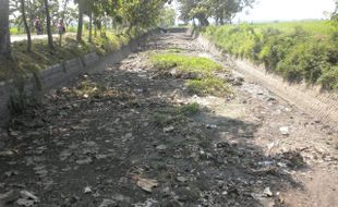 PERTANIAN SRAGEN : Air Waduk Gembong Susut, Petani Takut Gagal Panen