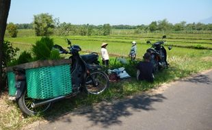 KASUS PENCURIAN : Petani Simo Resah Maraknya Pencurian Motor di Sawah