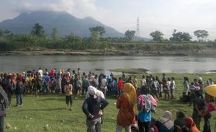 BUAYA SIDOARJO : Ratusan Warga Rela Menanti Berjam-Jam Demi Kemunculan Buaya Kali Porong 