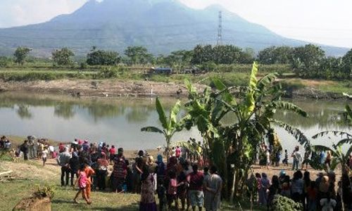 BUAYA SIDOARJO : Mengapa Penghuni Asli Kali Porong Menampakkan Diri?