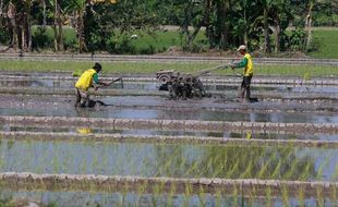 PERTANIAN KULONPROGO : Kodim Sediakan Traktor dan Pompa Air, Petani Tanggung Biaya Perawatan