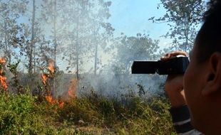 FOTO KEBAKARAN MADIUN : Cuaca Panas Picu Kebakaran Hutan