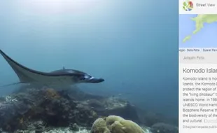 Hore, Google Maps Tambah Gambar Street View Bawah Laut Indonesia!