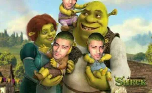 MEME LUCU : Rambut Disemir Hijau, Zayn Malik Disindir Meme Kocak