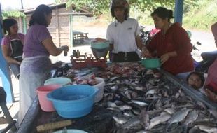 KEBUTUHAN POKOK : Permintaan Ikan Segar di Wonogiri Melonjak