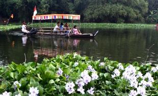 FOTO WISATA NGAWI : Indahnya Taman di Bantaran Bengawan Madiun