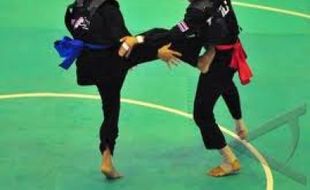 Begini Perjalanan Perguruan Pencak Silat Wonogiri sejak 1998