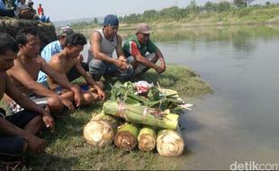 BUAYA SIDOARJO : Buntut Penampakan Buaya Kali Porong, Warga Gelar Selamatan