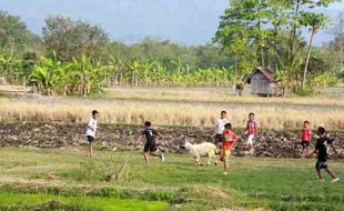 FOTO RUANG TERBUKA HIJAU : Anak-anak Masih Miliki Lahan Bermain