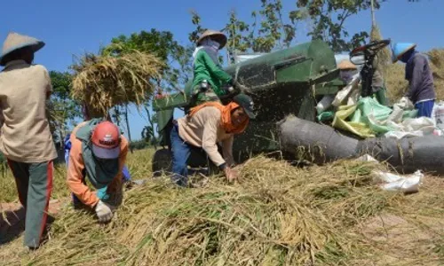 Sragen Bakal Punya Desa Bebas Pengangguran, Ini Lokasinya